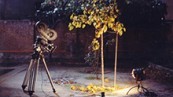 Víctor Erice-Abbas Kiarostami: Correspondences (Spain/Iran, 2005–07)