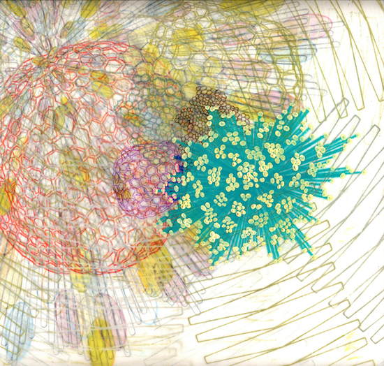 Sym.bi.osis: Art & Science Intersect