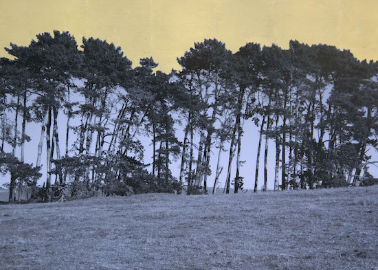 Opening Receptions: Alice Shaw’s “Heavy Metal” and Lena Wolff’s “All for One for All”