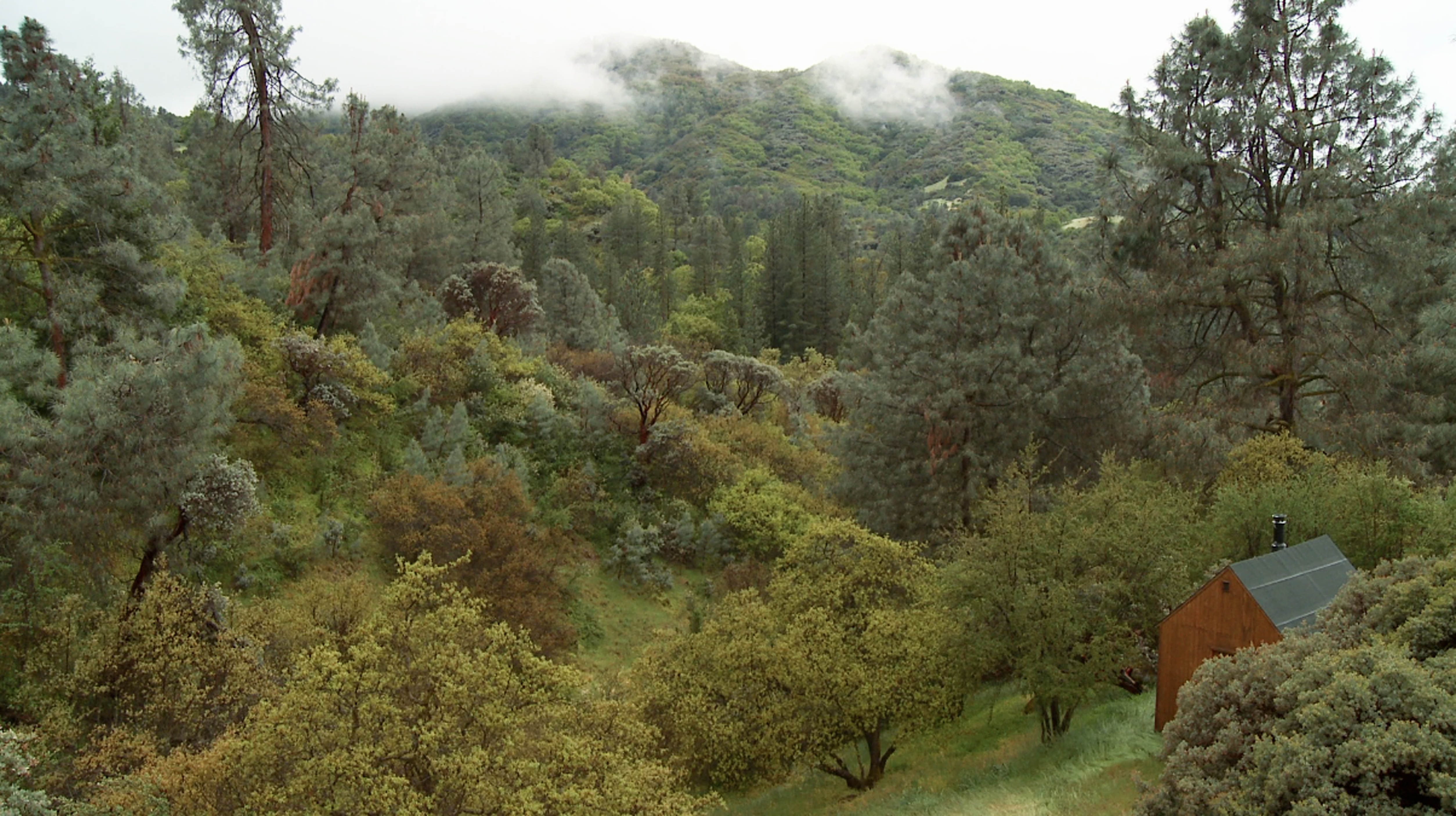 SFAI Visiting Artist Lecture: James Benning