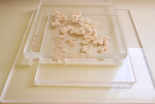 Fabricating Art: Chelsea Pegram