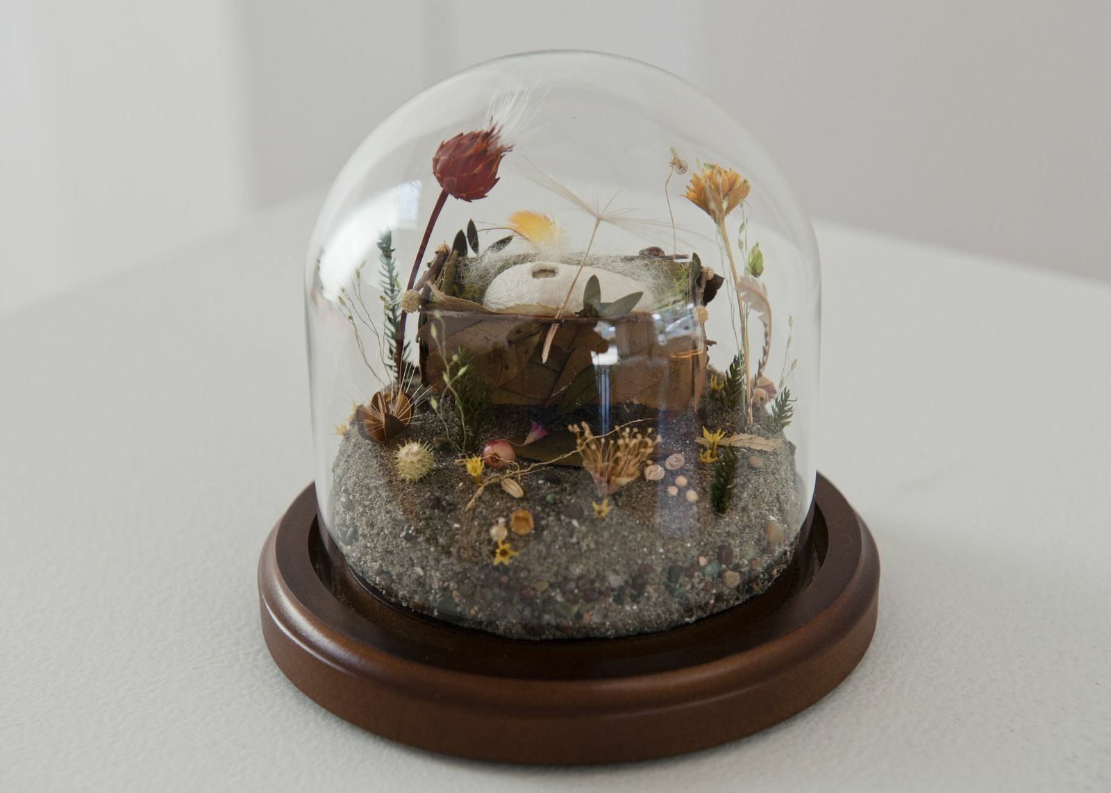 The Cradle Project