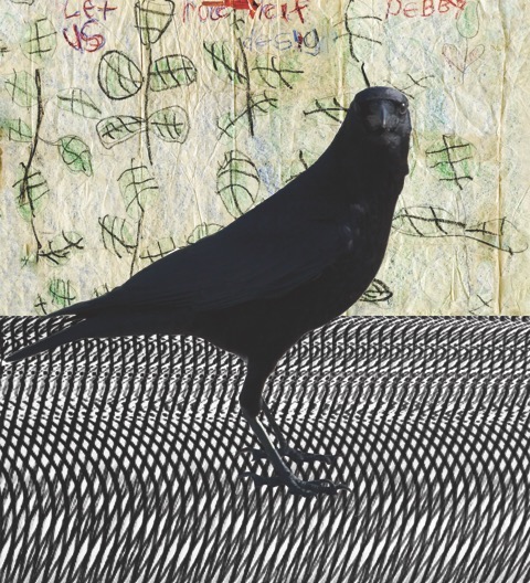 Deborah Sullivan: Irregularities of Attention
