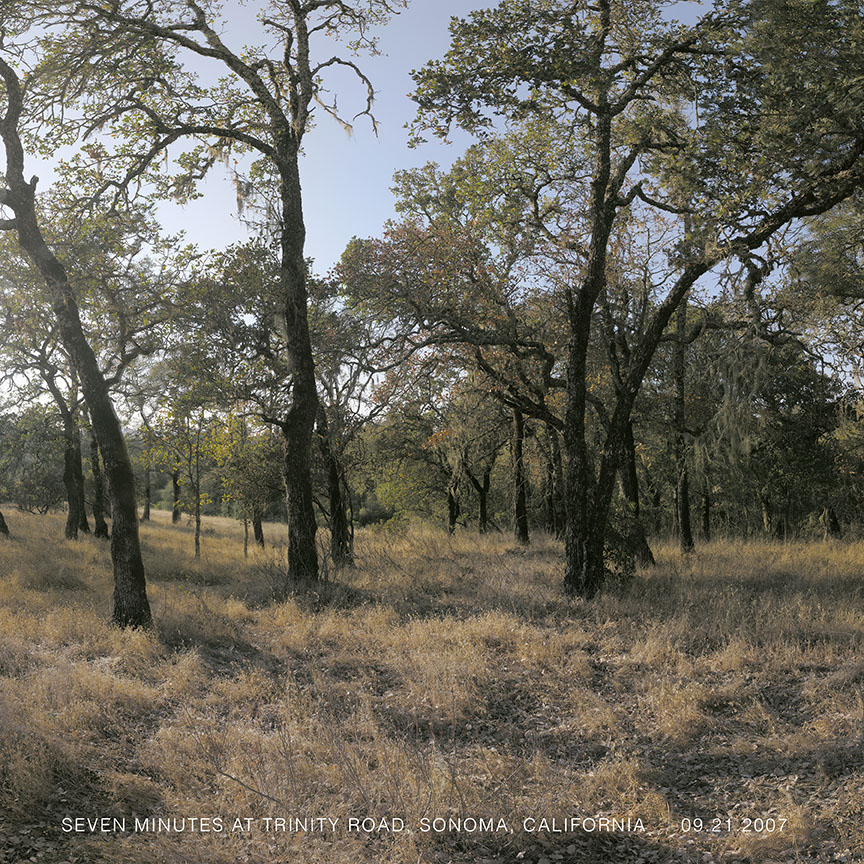 Lewis deSoto : ARBOR/ARDOR