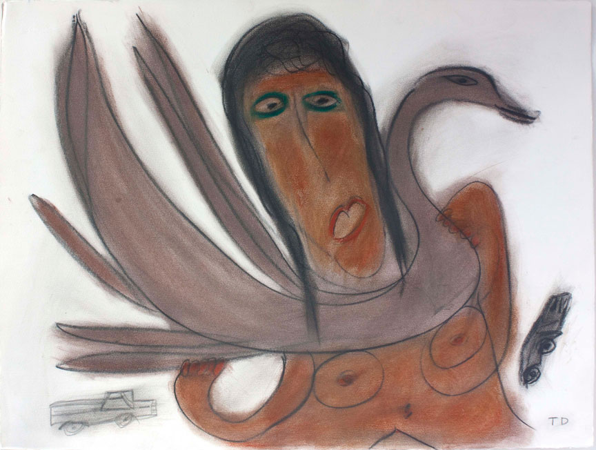 Life in the Shade: Drawings by Thornton Dial