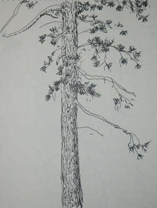 Art in the Garden: Drawing on the Run