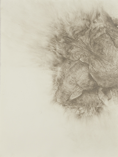 Dust Prints and The Fall