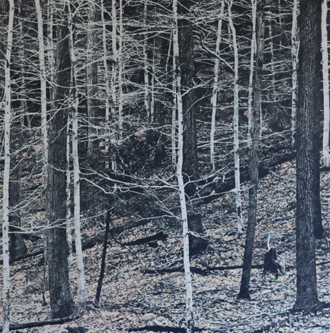 James Chronister: Bitterroot, Alika Cooper: Glass