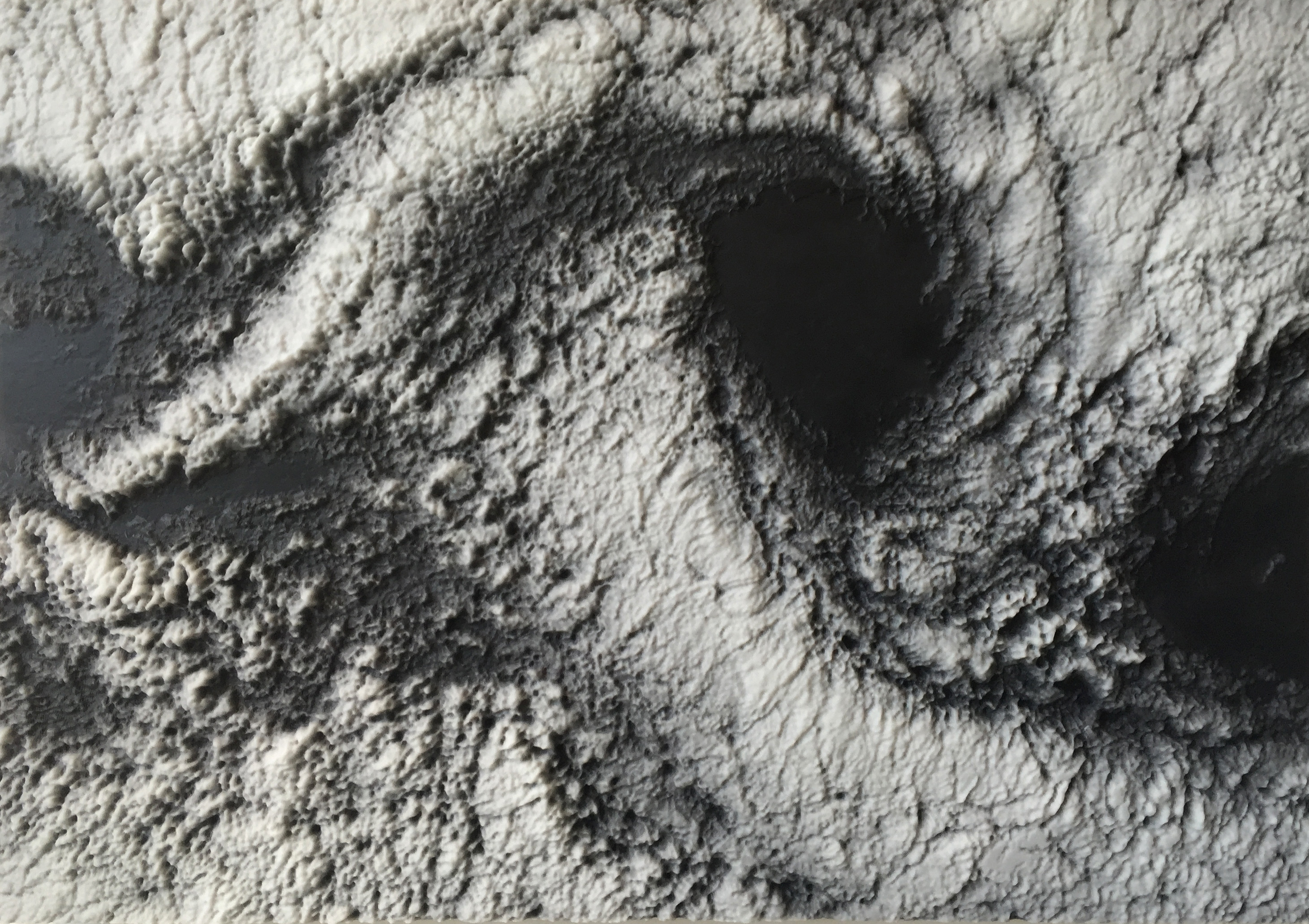 Michael Koehle: Strange Terrain