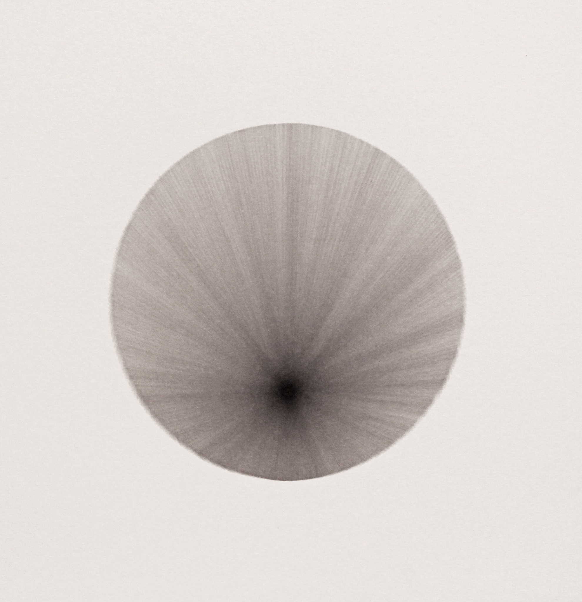 Nicole Phungrasamee Fein: Vantage