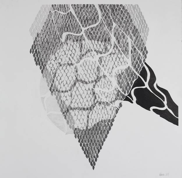 Kyle Browne: Charting Refuse