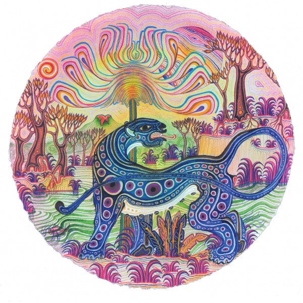 Jesse Allen: Works on Paper