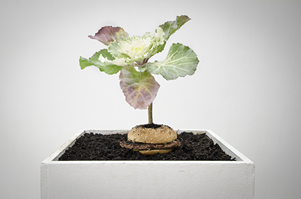 Reimagining Progress: Production, Consumption, and Alternative Economies