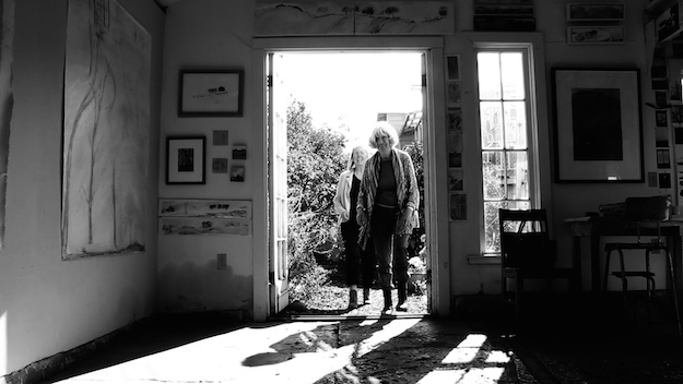 Sylvia Sussman: From Chabot Park—Large Scale Paintings with Drawing