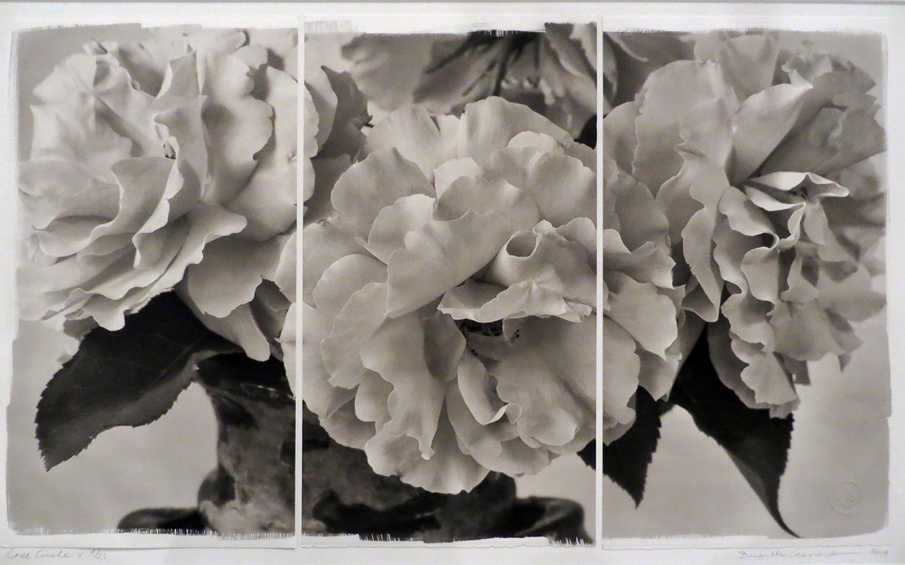 Brigitte Carnochan: Natural Beauty