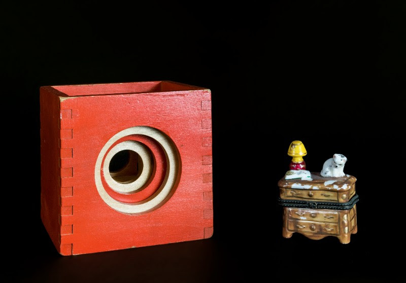 Kija Lucas: Sentimental Taxonomy