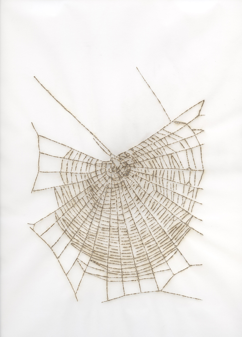 The Steve Wilson Lectures: Gail Wight