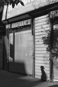 Brooklyn & Botanicals