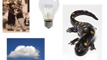 Notes Toward a Non-Anthropocentric Social Practice