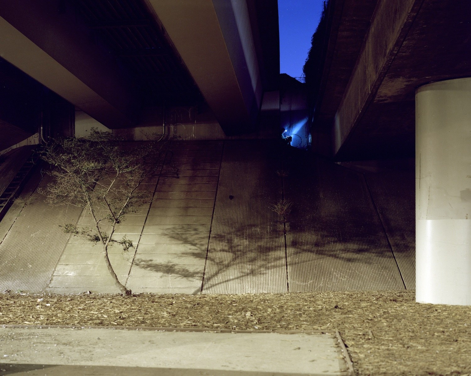 Johnna Arnold: In/Finite Potential