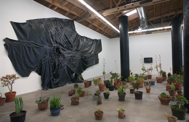 UC Berkeley Visiting Artist Lecture Series: Rodney McMillian