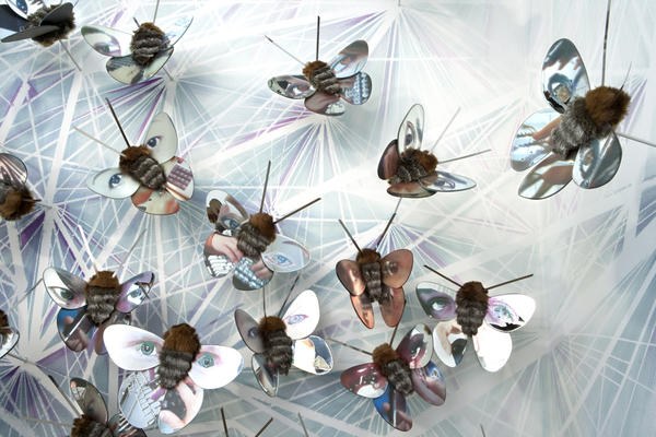 Morphologies