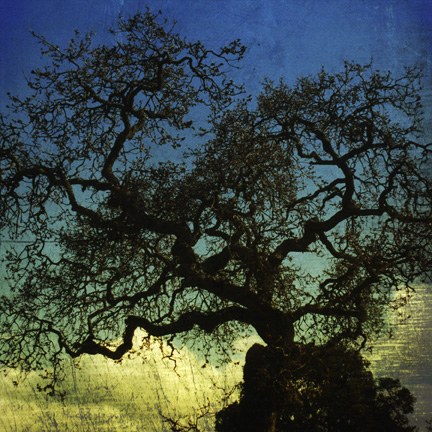 Zaubermarchen/Tales of Magic