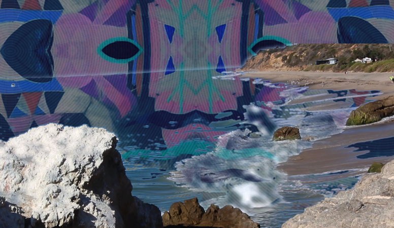 Liz Walsh: Everyone
