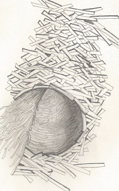 SF State MFA Thesis Exhibition