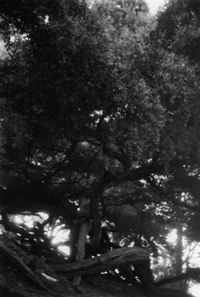 Christopher Russell: The Ghost of Background | Camille Roy: Alien View
