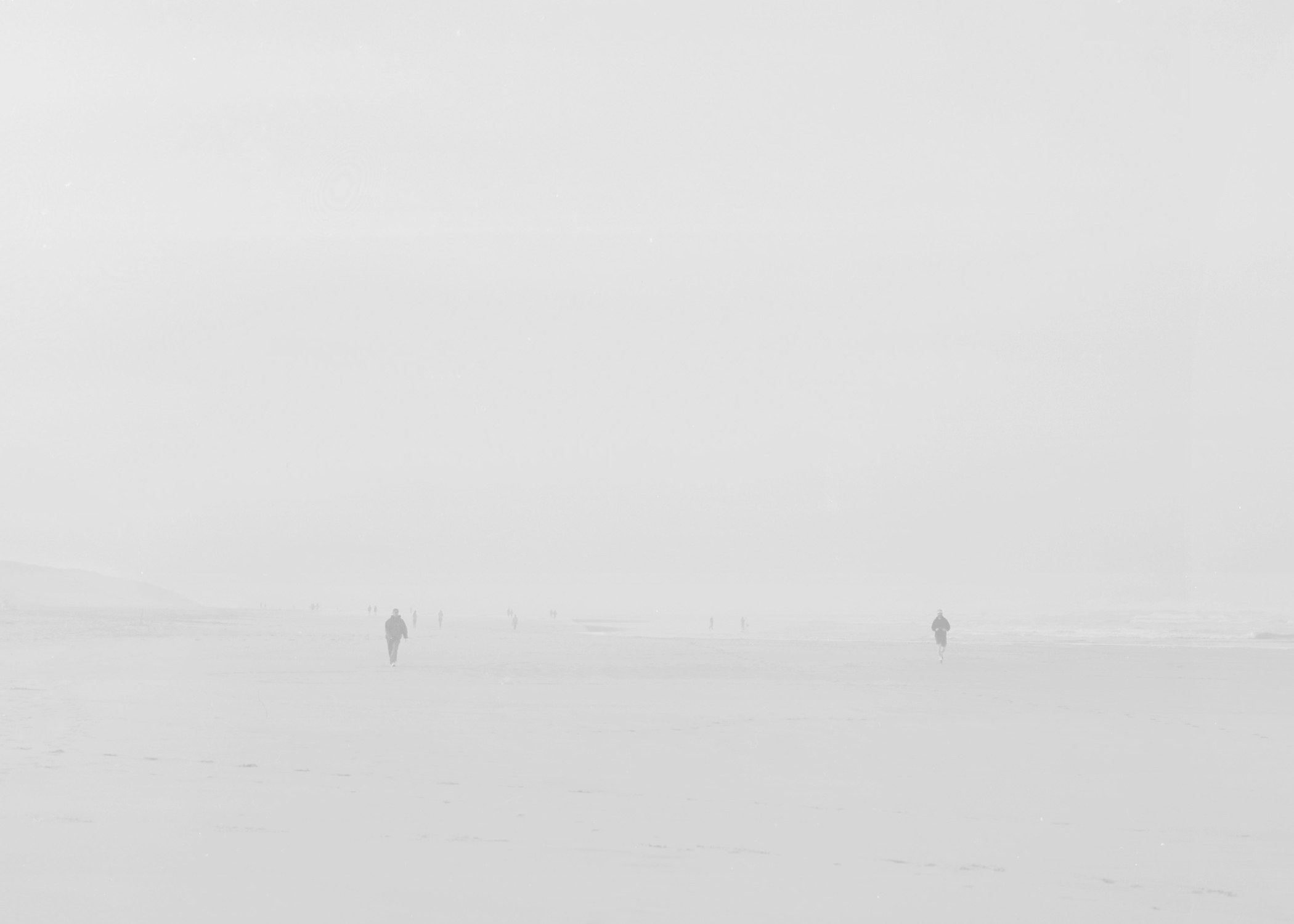 Wanderes in a Sea of Fog