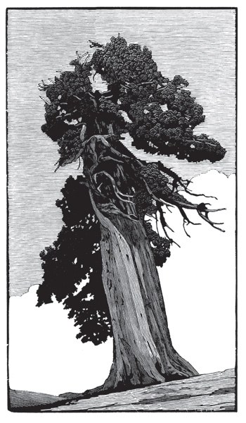 Artist Talk & Publication Party for The Sierra Nevada Suite