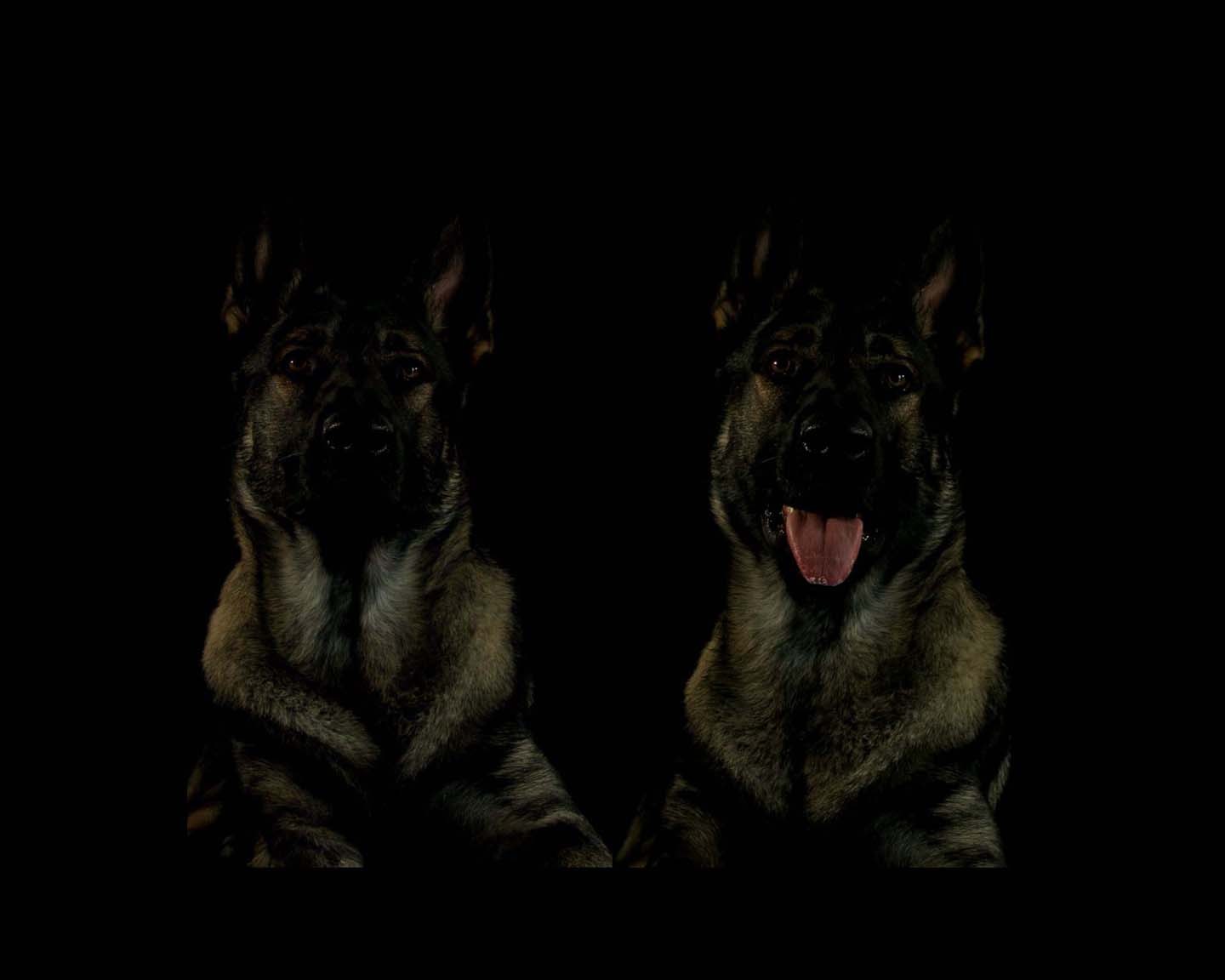 Duality