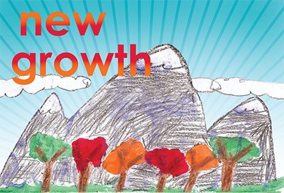 New Growth IV