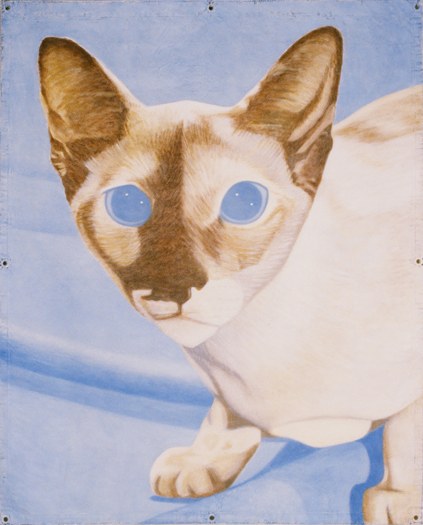 Purrrrseus Exhibition / Gallery Walk