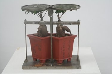 Experimental Studio