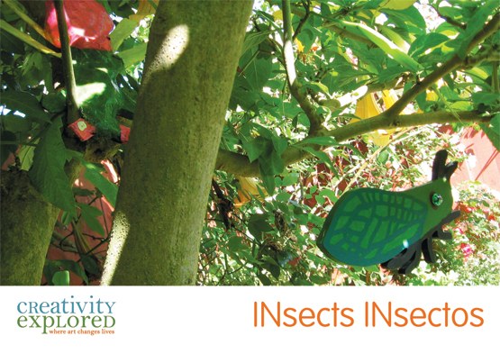 INsects INsectos