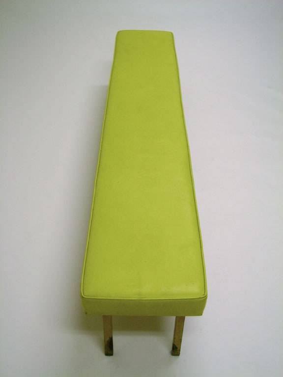 Yellow Bench Portraits