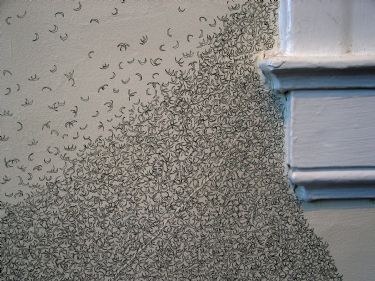 Amy Rathbone: Project Space