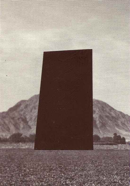 Brion Nuda Rosch