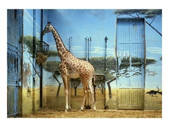 Zoologische Gärten + New Works