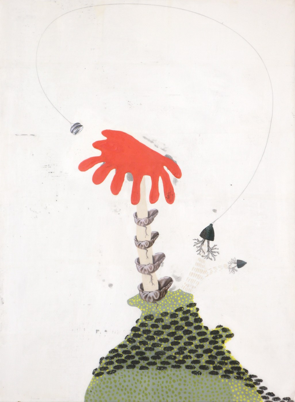 Anatomy of a Future Forest