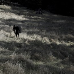 Bountiful Darkness