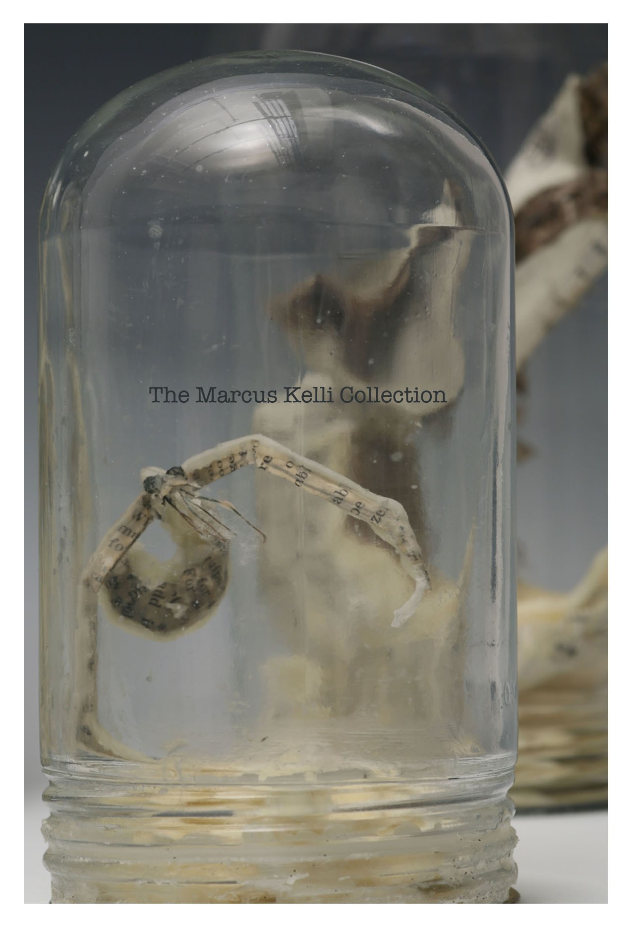 The Marcus Kelli Collection