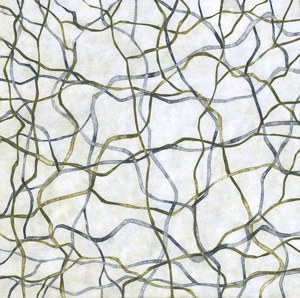Pattern and Perception