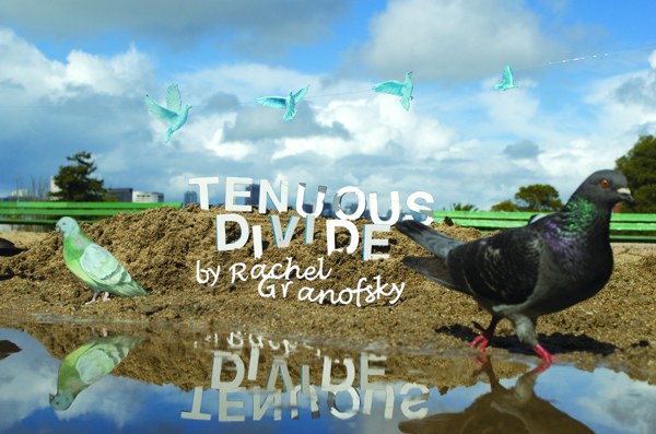 Tenuous Divide