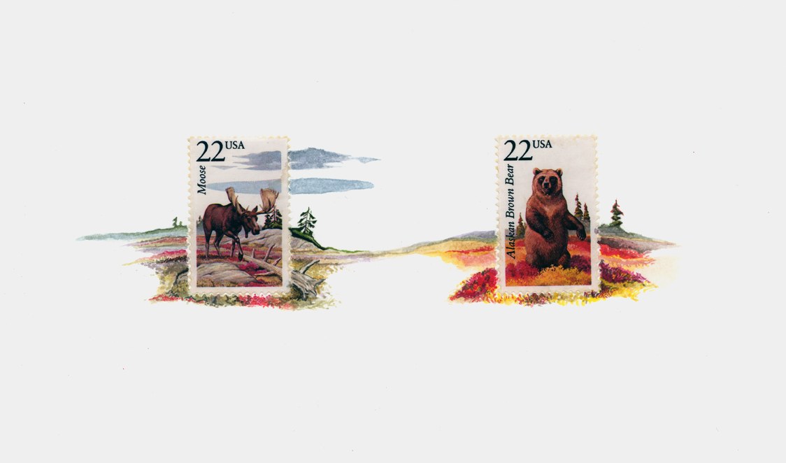 North American Wildlife