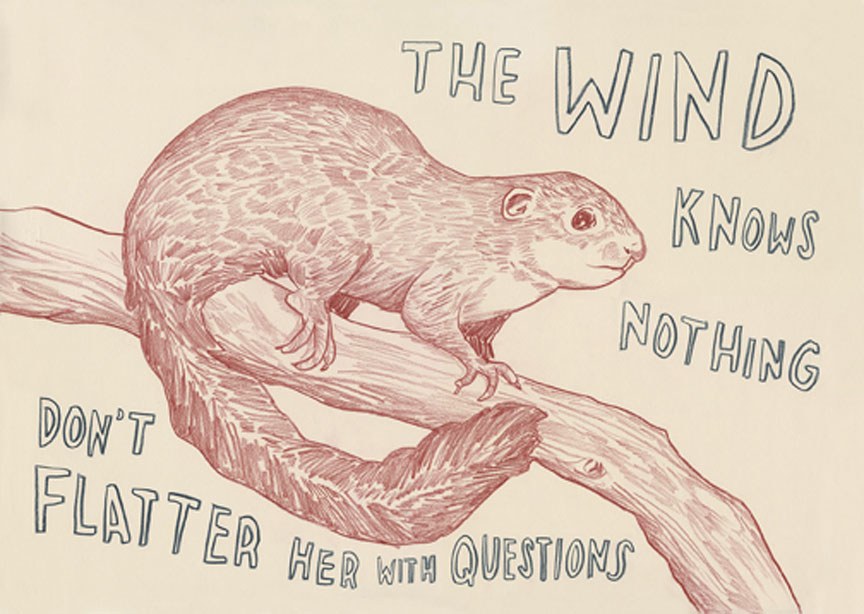 It Is Right To Draw Their Fur.