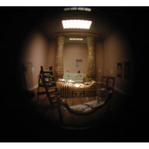 Wondrous Strange: A 21st Century Cabinet of Curiosities