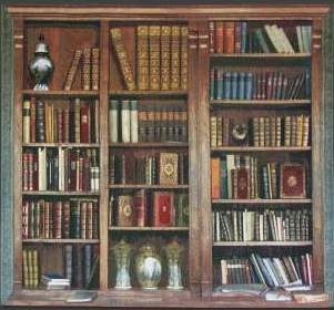 Wondrous Strange: A 21st Century Cabinet of Curiosities
